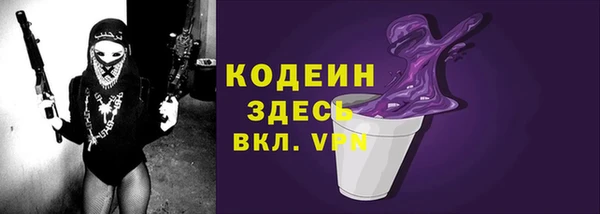 прущий лед Алзамай