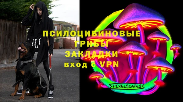 apvp Алексин
